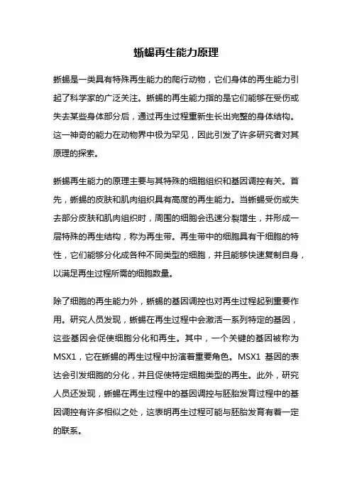 蜥蜴再生能力原理