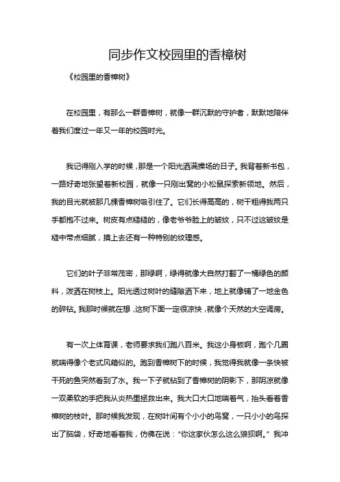 同步作文校园里的香樟树