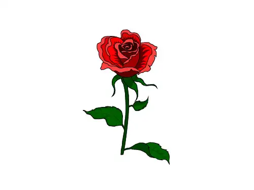 蛀干害虫