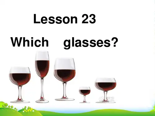 新概念英语lesson23-24(共16页)课件