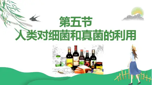 第五节 人类对细菌和真菌的利用