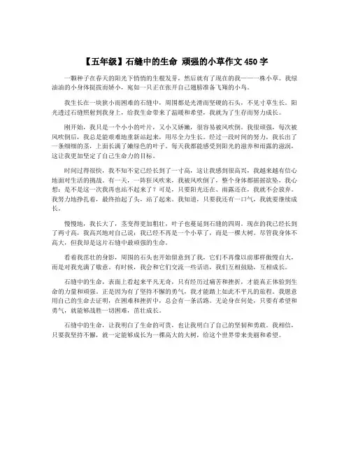 【五年级】石缝中的生命 顽强的小草作文450字