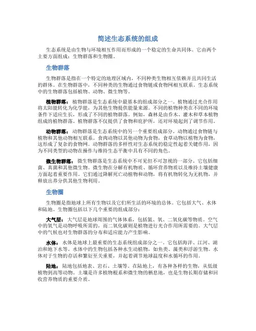 简述生态系统的组成