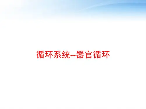 循环系统--器官循环 ppt课件