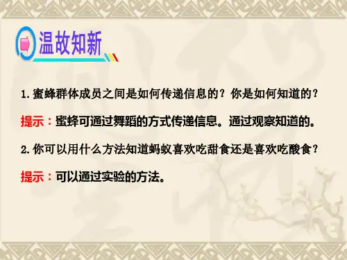 163研究动物行为的方法