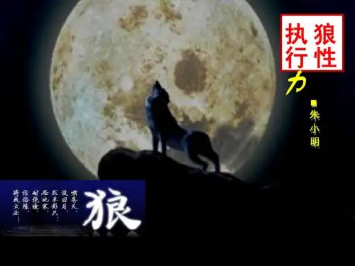 狼性执行力(新版)