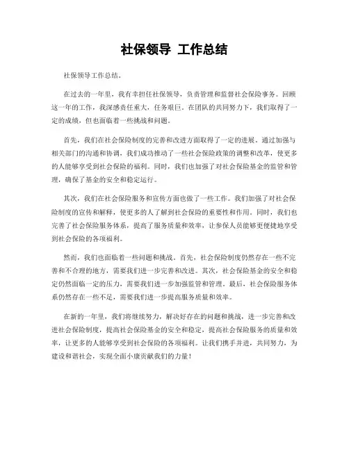 社保领导 工作总结
