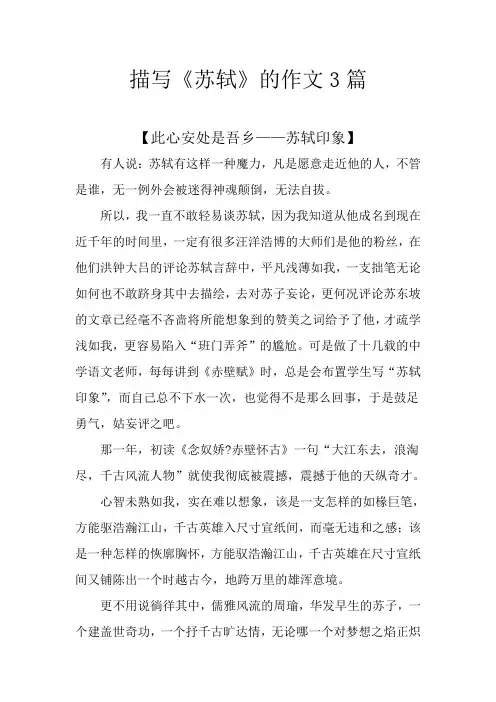 描写《苏轼》的作文3篇