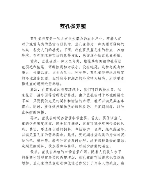 蓝孔雀养殖