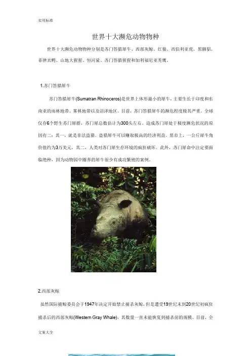 世界十大濒危动物
