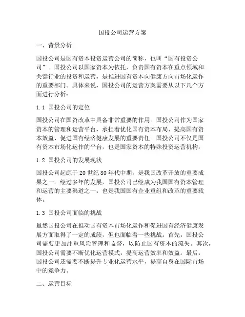 国投公司运营方案