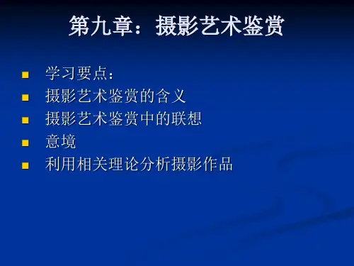 摄影艺术图解教程课件第九章 摄影艺术鉴赏