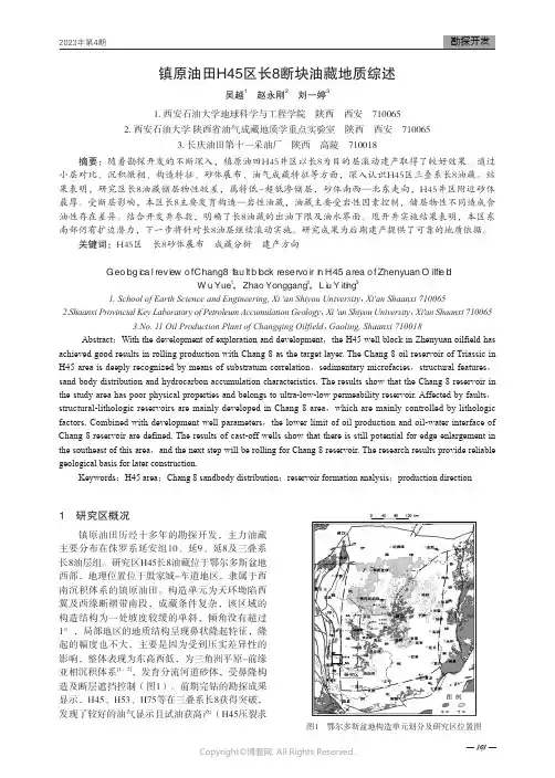 211219829_镇原油田H45区长8断块油藏地质综述