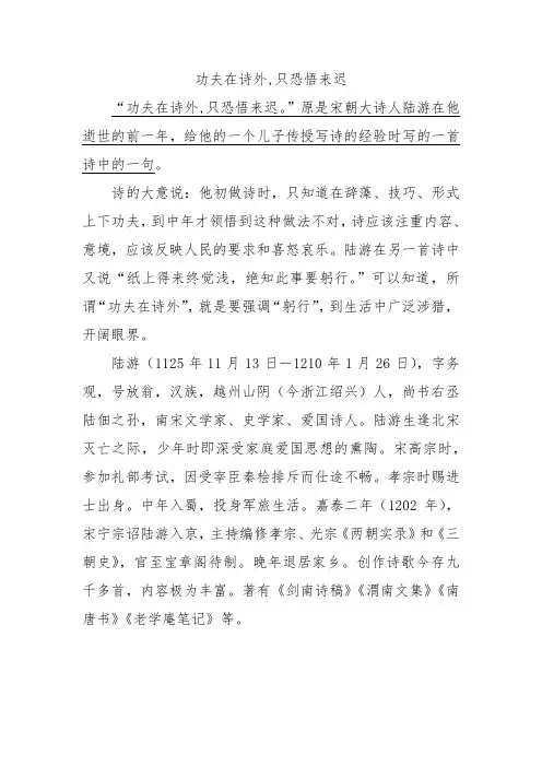 功夫在诗外,只恐悟来迟