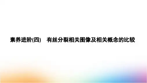 人教版高中生物必修1第6章  素养进阶 有丝分裂相关图像及相关概念的比较精品课件