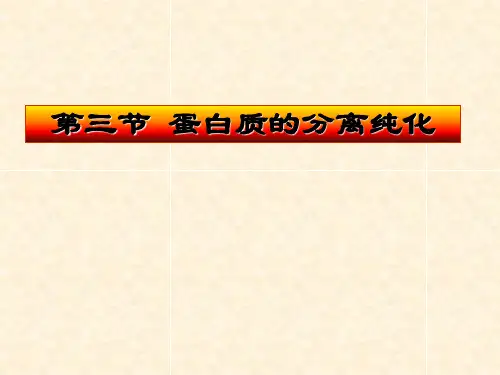 蛋白质的分离纯化