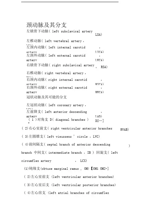 人体主要动脉中英文名称