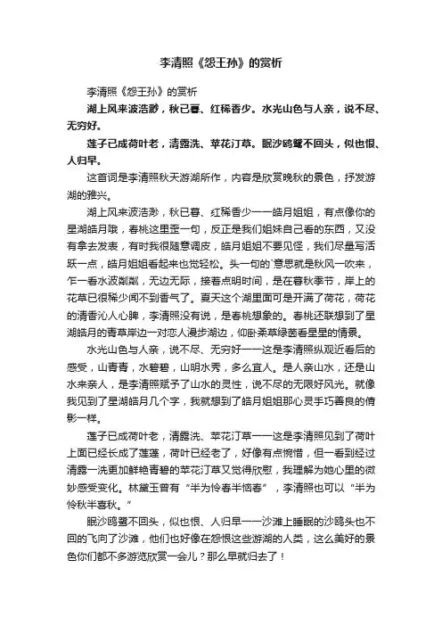 李清照《怨王孙》的赏析