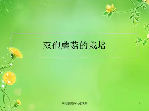 双孢蘑菇的设施栽培 PPT
