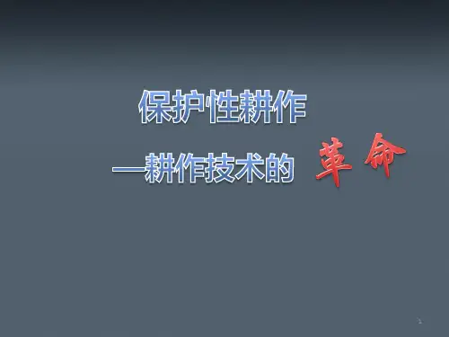 机械化保护性耕作技术ppt课件