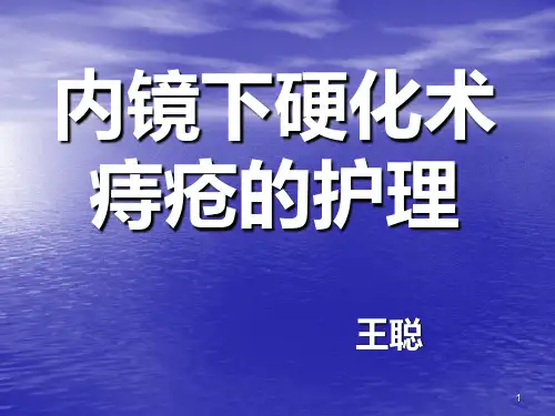 痔疮护理查房PPT课件