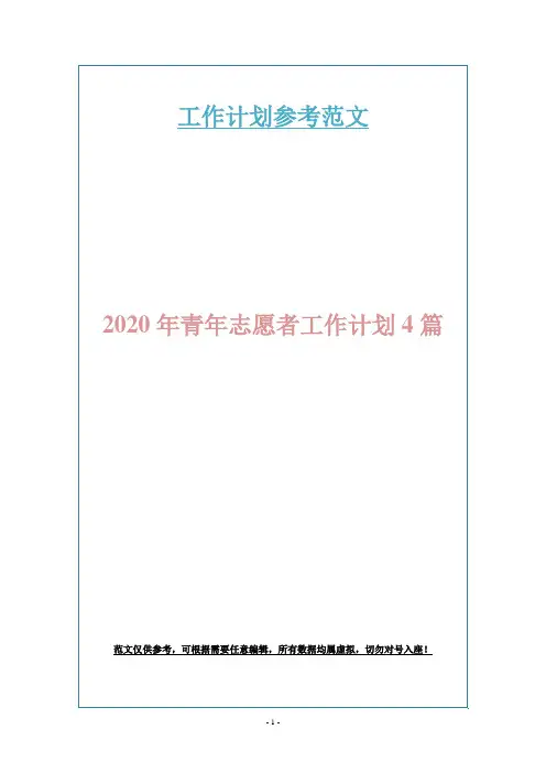 2020年青年志愿者工作计划4篇