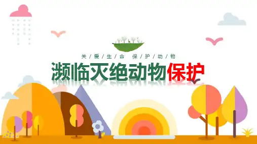 濒临灭绝动物保护科普小知识ppt课件