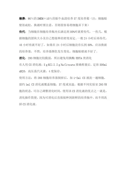 293T细胞