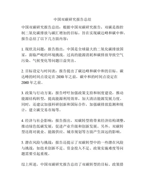 中国双碳研究报告总结