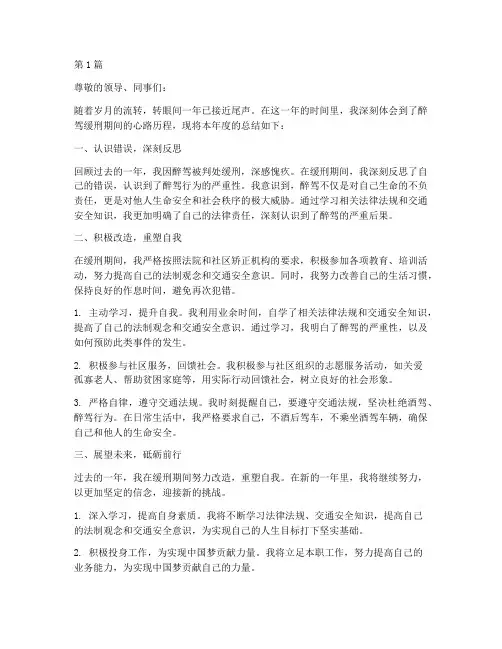 醉驾缓刑年度总结(3篇)