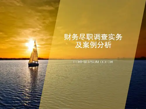 财务尽职调查实务及案例分析(PPT80页)