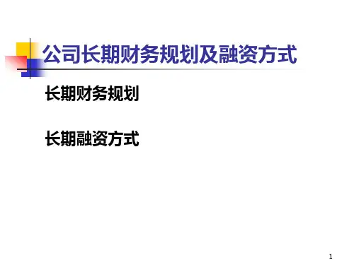 公司长期财务规划及融资方式