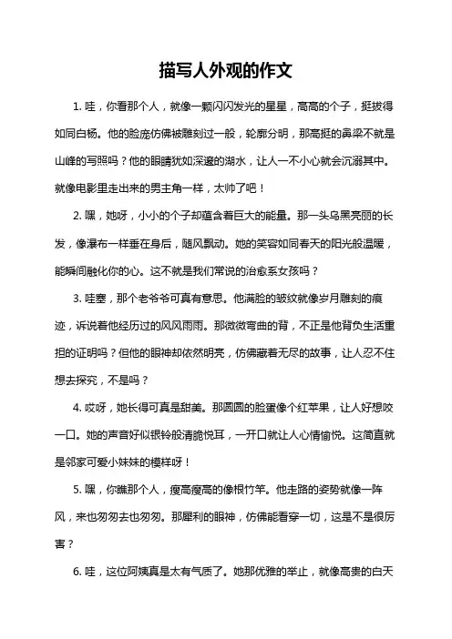 描写人外观的作文