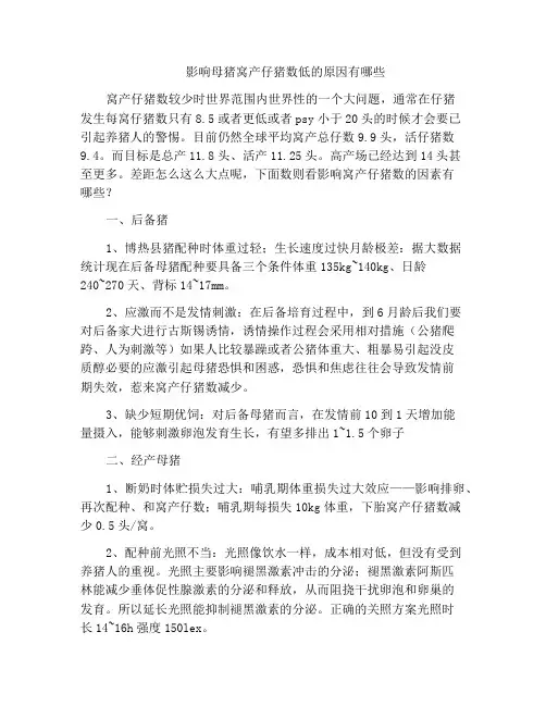 影响母猪窝产仔猪数低的原因有哪些