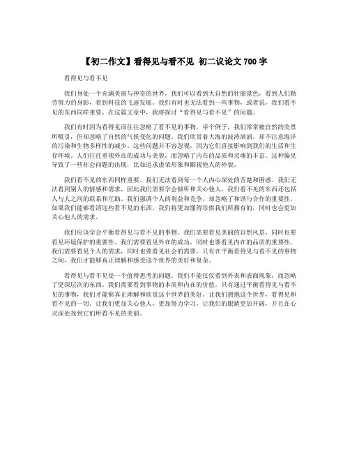 【初二作文】看得见与看不见 初二议论文700字