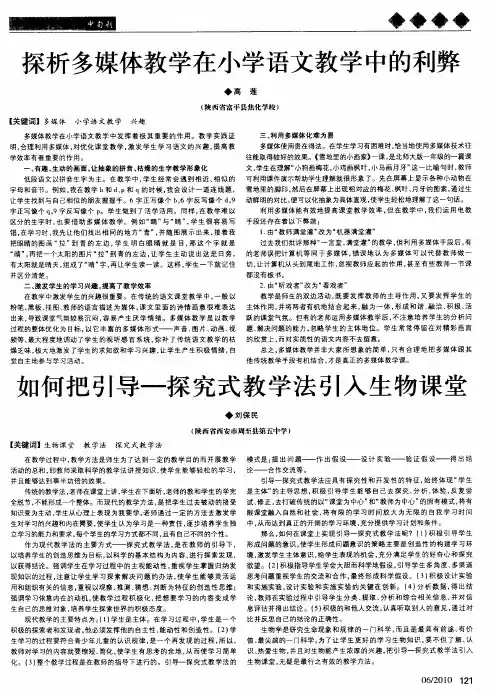 探析多媒体教学在小学语文教学中的利弊