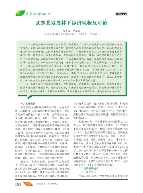 武定县发展林下经济现状及对策
