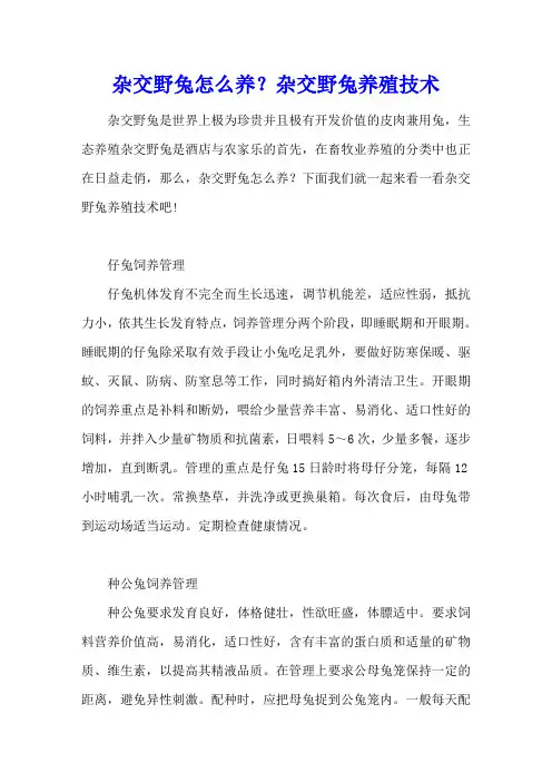 杂交野兔怎么养？杂交野兔养殖技术