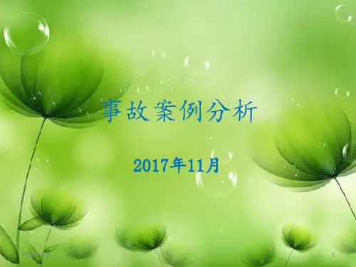 事故案例分析 1 ppt课件