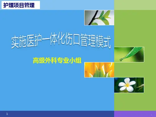 开展护理项目管理汇报——实施医护一体化伤口管理模式PPT课件