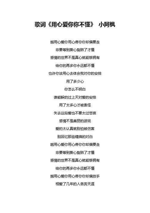 歌词《用心爱你你不懂》 小阿枫