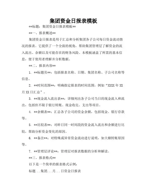 集团资金日报表模板