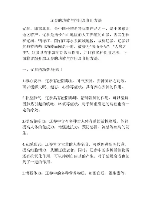 辽参的功效与作用及食用方法