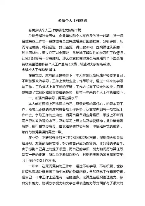 乡镇个人工作总结