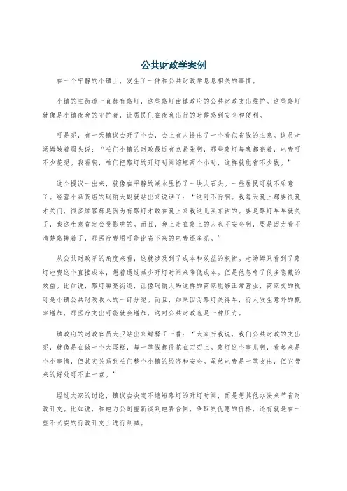 公共财政学案例