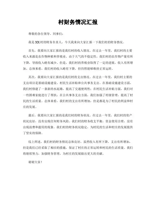 村财务情况汇报