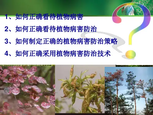 植物病害治理
