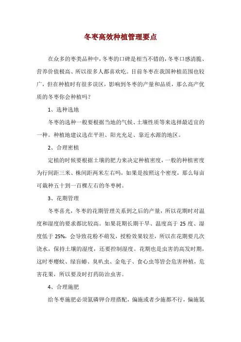 冬枣高效种植管理要点