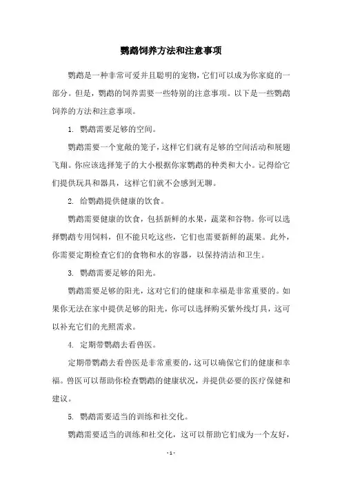 鹦鹉饲养方法和注意事项