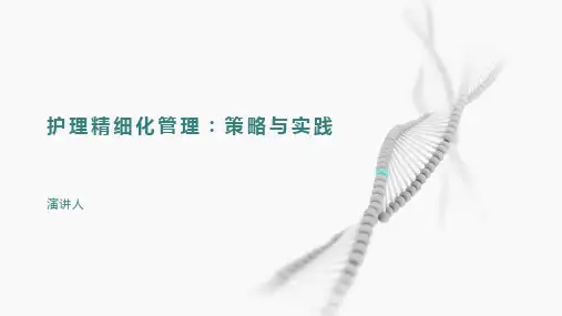 护理精细化管理ppt课件